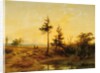 An extensive heath landscape by Cornelis Lieste
