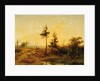 An extensive heath landscape by Cornelis Lieste