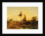 An extensive heath landscape by Cornelis Lieste