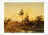 An extensive heath landscape by Cornelis Lieste