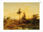 An extensive heath landscape by Cornelis Lieste