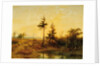 An extensive heath landscape by Cornelis Lieste