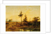 An extensive heath landscape by Cornelis Lieste