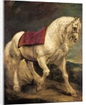 A bridled grey stallion, with a saddle cloth and partially plaited mane: a modello by Anthony van Dyck