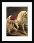 A bridled grey stallion, with a saddle cloth and partially plaited mane: a modello by Anthony van Dyck