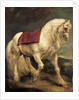 A bridled grey stallion, with a saddle cloth and partially plaited mane: a modello by Anthony van Dyck