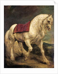 A bridled grey stallion, with a saddle cloth and partially plaited mane: a modello by Anthony van Dyck
