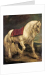A bridled grey stallion, with a saddle cloth and partially plaited mane: a modello by Anthony van Dyck