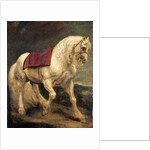 A bridled grey stallion, with a saddle cloth and partially plaited mane: a modello by Anthony van Dyck