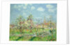 Verger en Fleur, l902 by Gustave Loiseau