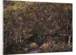 In the Wood by Alfred Sisley