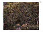 In the Wood by Alfred Sisley