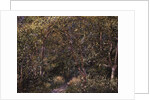 In the Wood by Alfred Sisley