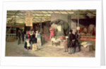 At the Zoo by Giuseppe Barison