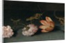 Carnations, a parrot tulip, a grasshopper and a lizard on a ledge by Balthasar van der Ast