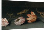 Carnations, a parrot tulip, a grasshopper and a lizard on a ledge by Balthasar van der Ast