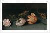 Carnations, a parrot tulip, a grasshopper and a lizard on a ledge by Balthasar van der Ast