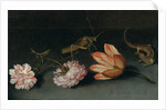 Carnations, a parrot tulip, a grasshopper and a lizard on a ledge by Balthasar van der Ast