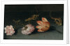 Carnations, a parrot tulip, a grasshopper and a lizard on a ledge by Balthasar van der Ast