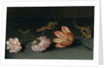 Carnations, a parrot tulip, a grasshopper and a lizard on a ledge by Balthasar van der Ast