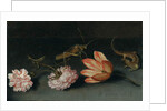 Carnations, a parrot tulip, a grasshopper and a lizard on a ledge by Balthasar van der Ast