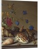 Flowers, shells and insects on a stone ledge by Balthasar van der Ast