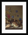 Flowers, shells and insects on a stone ledge by Balthasar van der Ast