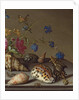 Flowers, shells and insects on a stone ledge by Balthasar van der Ast