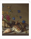 Flowers, shells and insects on a stone ledge by Balthasar van der Ast