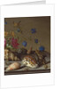 Flowers, shells and insects on a stone ledge by Balthasar van der Ast