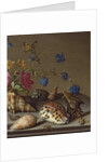 Flowers, shells and insects on a stone ledge by Balthasar van der Ast