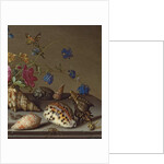 Flowers, shells and insects on a stone ledge by Balthasar van der Ast