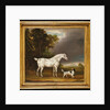 Appaloosa Horse and spaniel, 1807 by Thomas Weaver