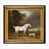 Appaloosa Horse and spaniel, 1807 by Thomas Weaver