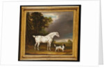 Appaloosa Horse and spaniel, 1807 by Thomas Weaver