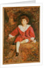 The Honorable John Neville Manners by John Everett Millais