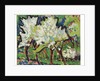 Flowering Trees IV, 1909 by Ernst Ludwig Kirchner
