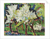 Flowering Trees IV, 1909 by Ernst Ludwig Kirchner
