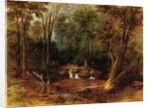 Maoris crossing a forest stream, 1887 by Peter Power
