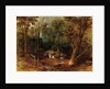 Maoris crossing a forest stream, 1887 by Peter Power