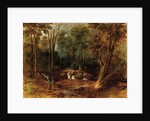 Maoris crossing a forest stream, 1887 by Peter Power