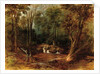 Maoris crossing a forest stream, 1887 by Peter Power