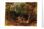 Maoris crossing a forest stream, 1887 by Peter Power
