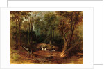 Maoris crossing a forest stream, 1887 by Peter Power