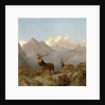 Detail of Stags And Hinds In A Highland Landscape, 1864 by John Frederick Herring Jnr