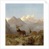 Detail of Stags And Hinds In A Highland Landscape, 1864 by John Frederick Herring Jnr