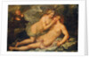 Jupiter in the guise of Diana and the nymph Callisto by Pietro Liberi