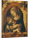 The Madonna and Child at a marble parapet by Carlo Crivelli