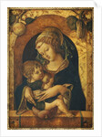 The Madonna and Child at a marble parapet by Carlo Crivelli