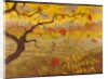 Pommier aux Fruits Rouges, c.1902 by Paul Ranson